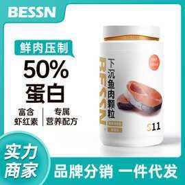 白銀龍魚價格表最新圖片
