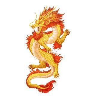 有沒有更多動態(tài)GIF金龍素材？ 有沒有更多動態(tài)GIF金龍素材？ 龍魚百科 第3張