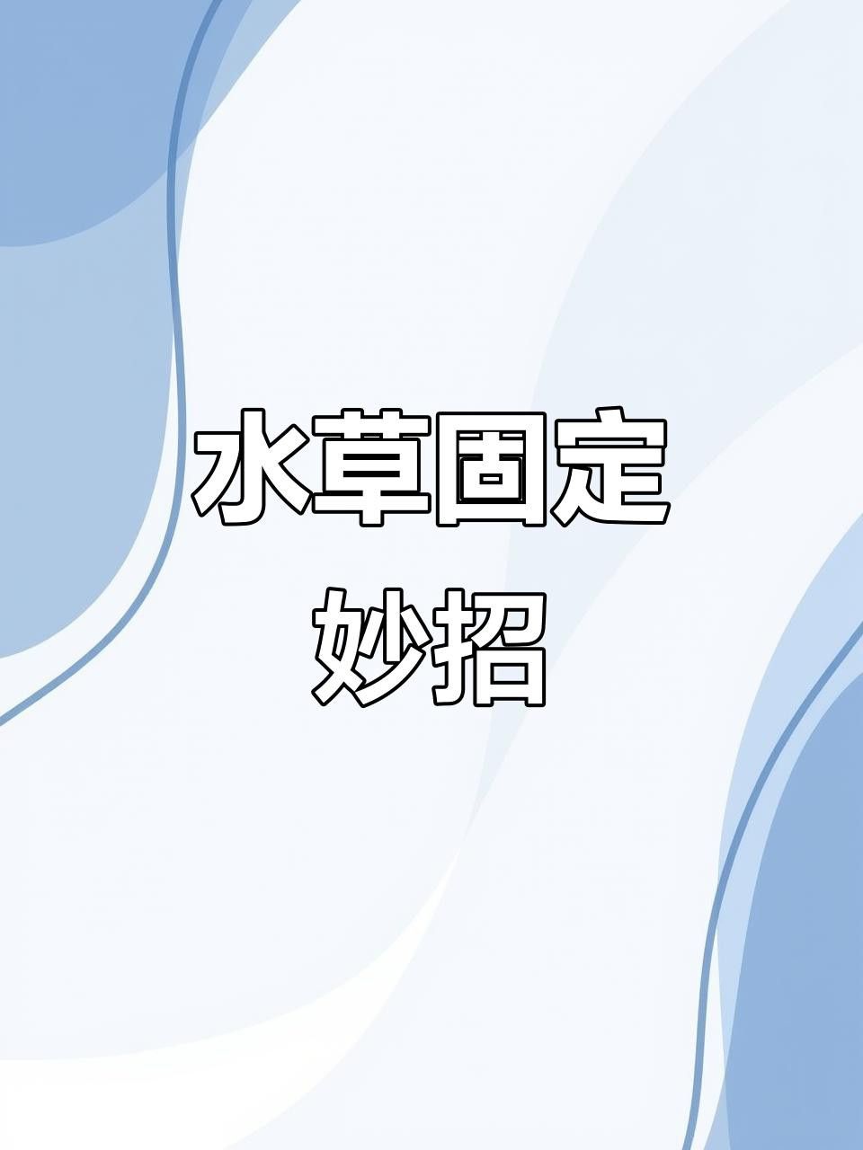 哪種固定方法最適合龍魚缸？