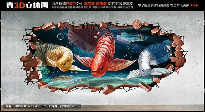 金龍魚立體畫怎么畫：手把手教你畫金龍魚立體畫之—金龍魚立體畫教程