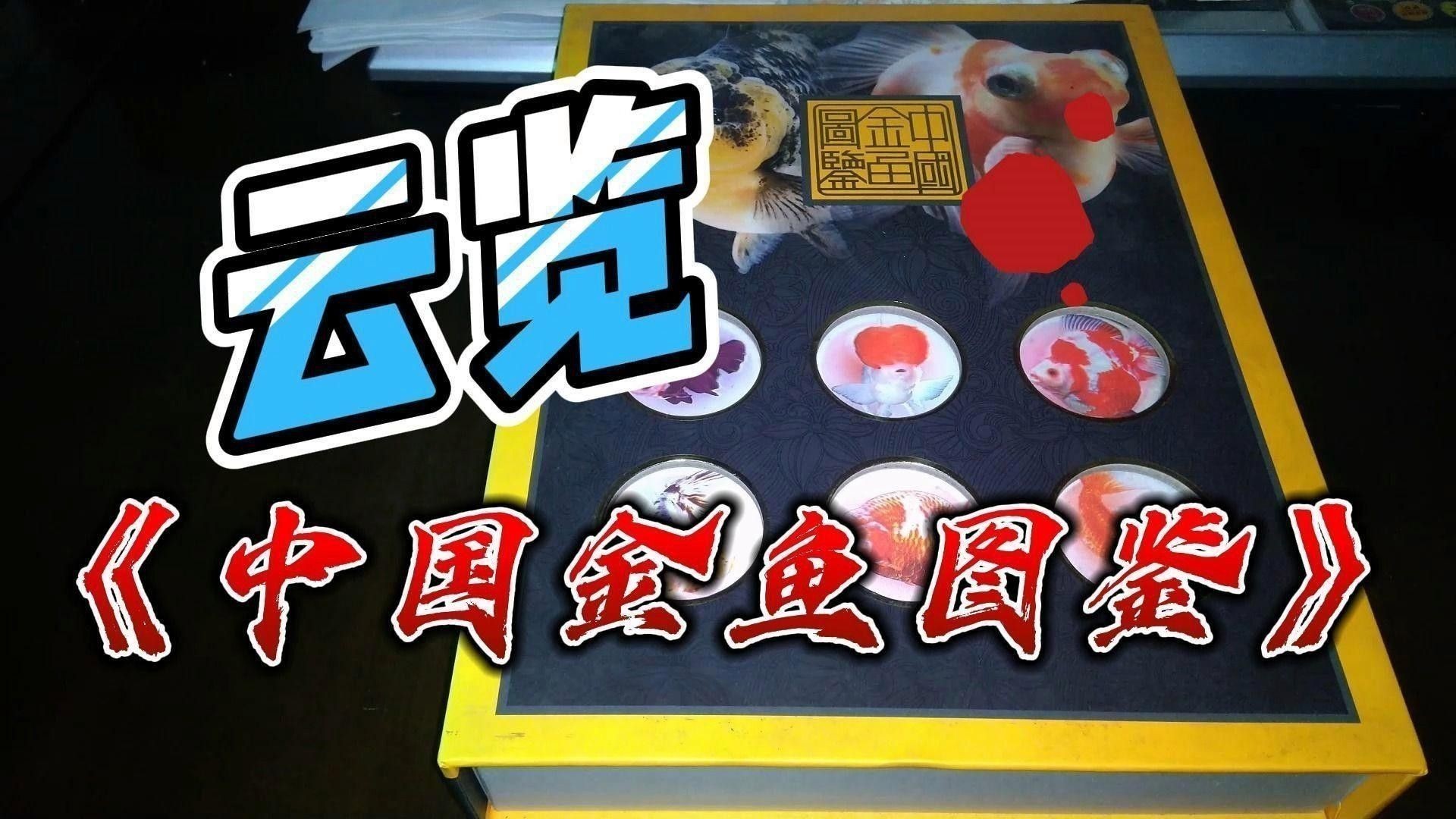 哪種龍睛金魚最稀有？