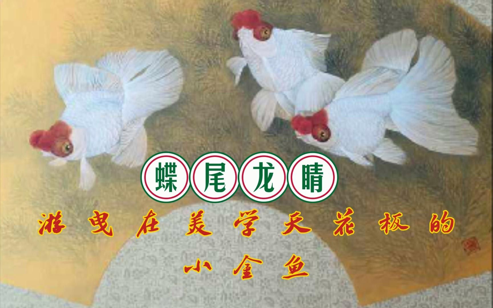 哪種龍睛金魚最稀有？
