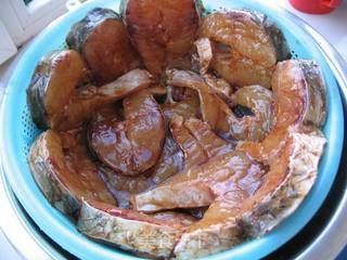 玫瑰銀板魚最簡(jiǎn)單三個(gè)步驟 玫瑰銀板魚最簡(jiǎn)單三個(gè)步驟 龍魚百科 第2張