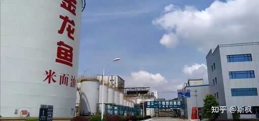 金龍魚業績說明會，如果金龍魚召開業績說明會，會提前發布相關公告嗎？ 金龍魚業績說明會，如果金龍魚召開業績說明會，會提前發布相關公告嗎？ 龍魚百科 第1張