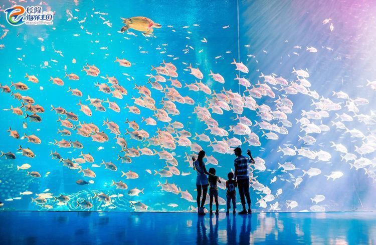 珠海魚缸 龍魚世家水族館專心