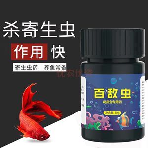 龍魚用什么藥殺蟲效果好：如何選擇適合龍魚的驅蟲藥物 龍魚用什么藥殺蟲效果好：如何選擇適合龍魚的驅蟲藥物 龍魚百科 第2張