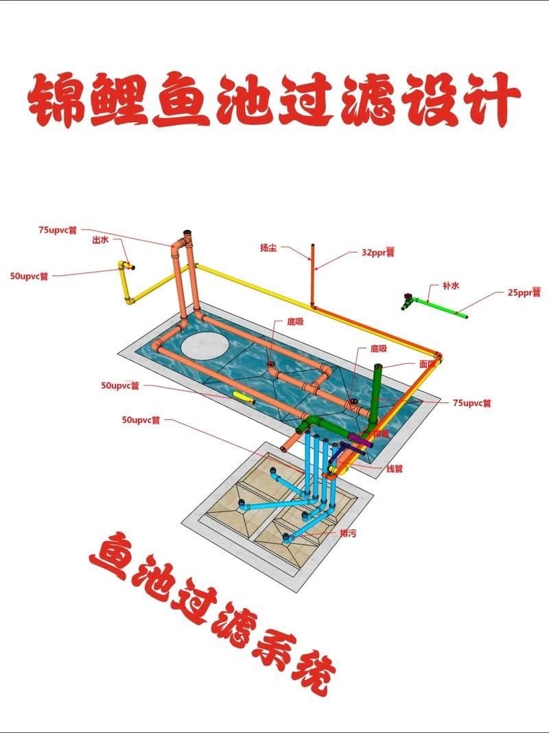 龍魚用什么過濾器材最好使用 龍魚用什么過濾器材最好使用 龍魚百科 第3張
