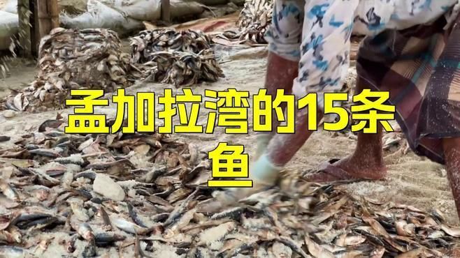 孟加拉灣十大名魚有哪些