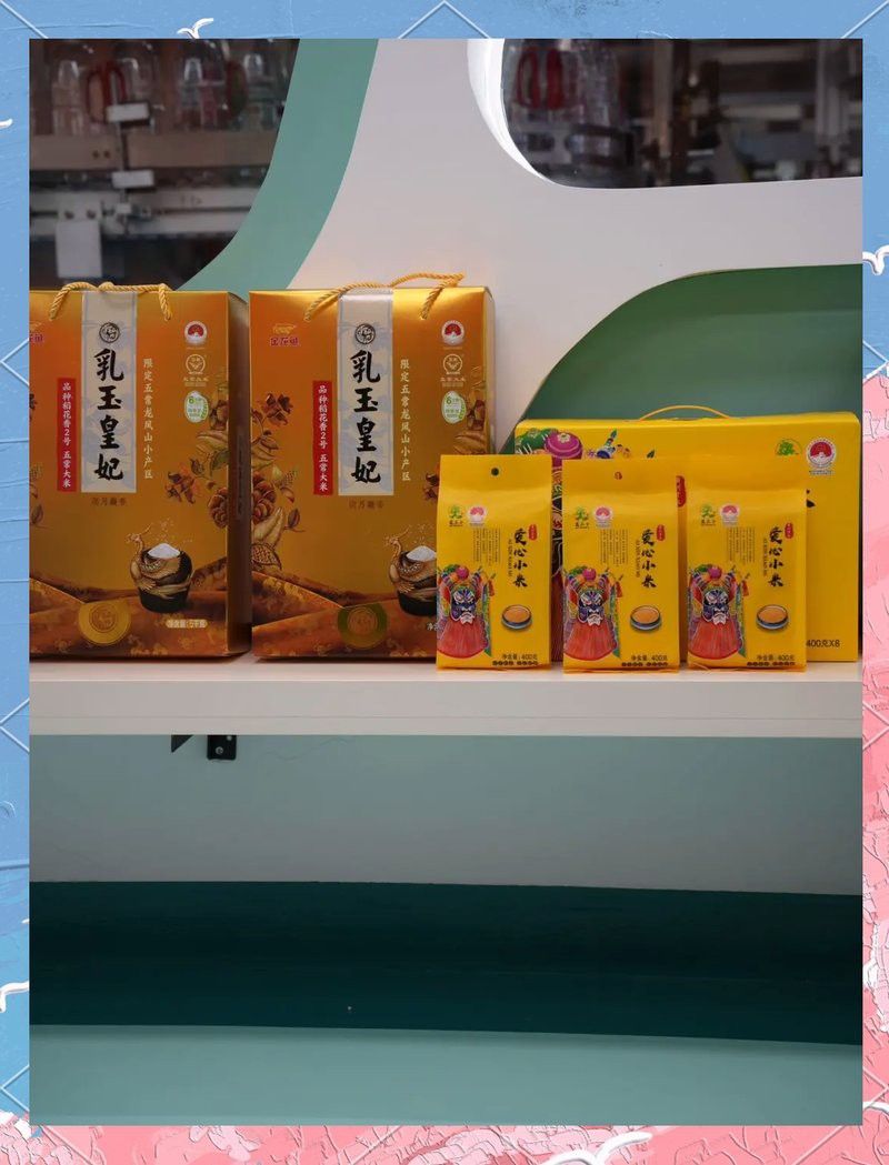 金龍魚參觀總結