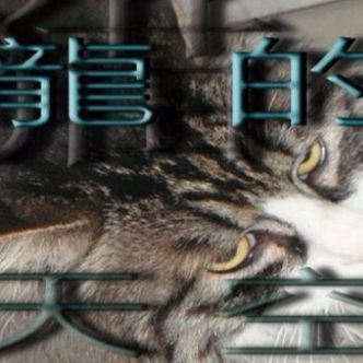 龍的天空小說