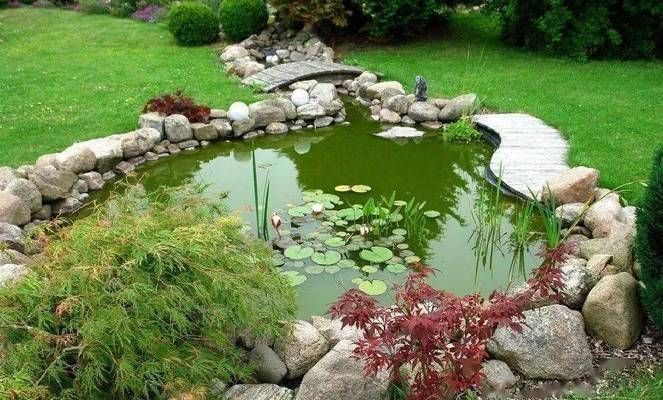 龍魚浮在水面不游怎么辦：如何檢測(cè)龍魚在水面不游動(dòng)