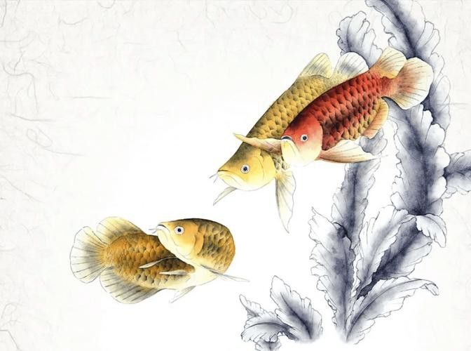 金龍魚國畫作品圖片