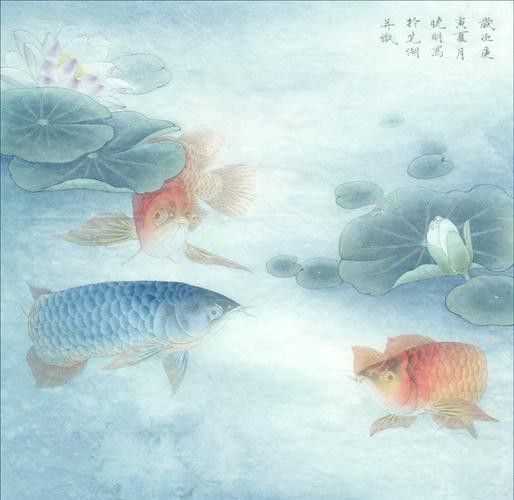金龍魚國畫作品圖片