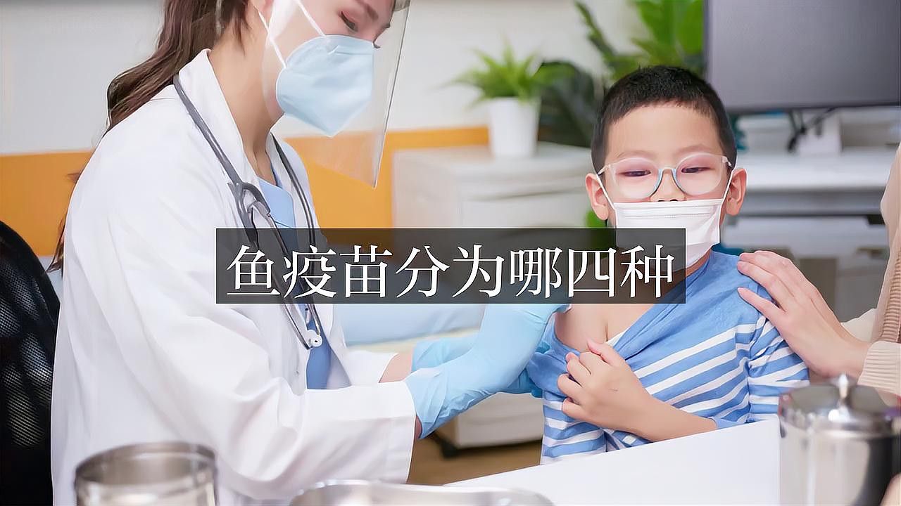 有哪些有效的龍魚疫苗？