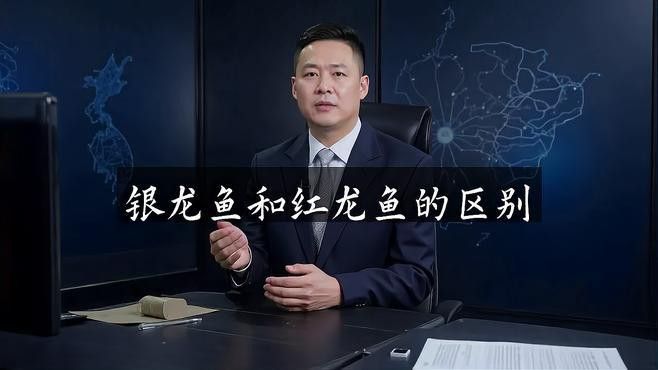 紅龍魚與銀龍魚的區別 紅龍魚與銀龍魚的區別 龍魚百科