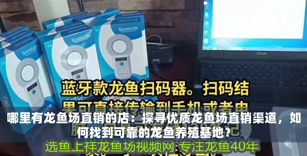 哪里有龍魚場直銷的店：探尋優質龍魚場直銷渠道，如何找到可靠的龍魚養殖基地？