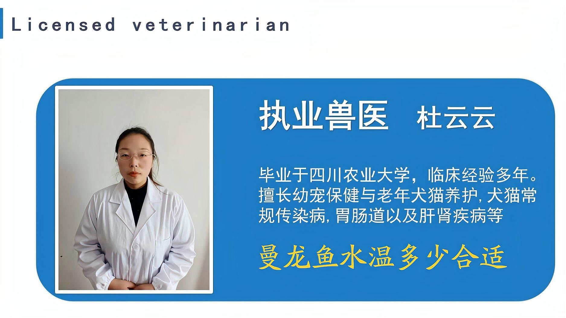 曼龍魚在最佳溫度下有哪些表現(xiàn)？