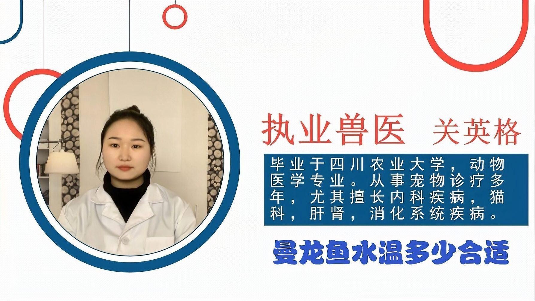 曼龍魚在最佳溫度下有哪些表現(xiàn)？