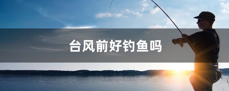 巨暴魚苗水溫調節常見誤區：關于巨暴魚苗水溫調節的常見誤區并沒有完全相關的直接答案