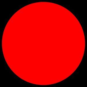 紅龍魚(yú)英文（紅龍魚(yú)的英文名字是什么？）