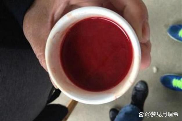 酒精測試后如何判斷紅龍涎真假？