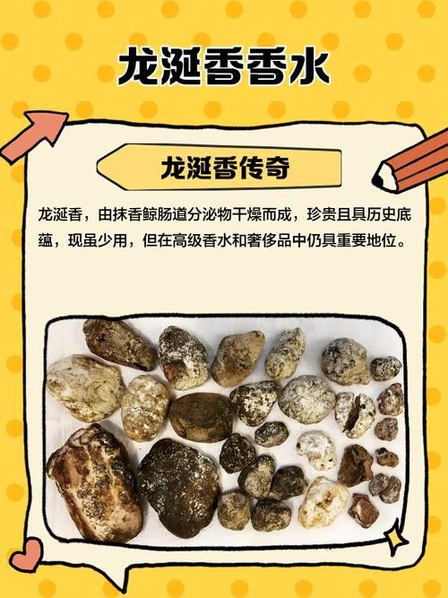酒精測試后如何判斷紅龍涎真假？