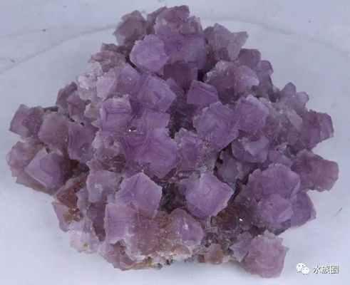 焦作魚缸出售信息大全（焦作魚缸出售信息大全最新）