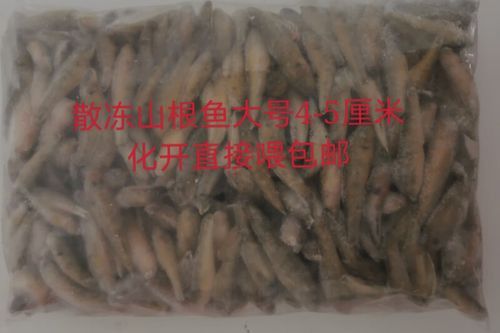 養龍魚喂什么好 養龍魚喂什么好 龍魚百科 第4張