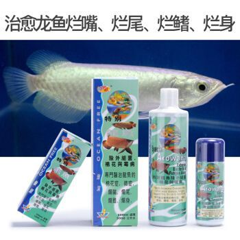 傲深0號(hào)龍魚疾?。ò辽?號(hào)使用方法） 傲深0號(hào)龍魚疾?。ò辽?號(hào)使用方法） 龍魚百科 第5張