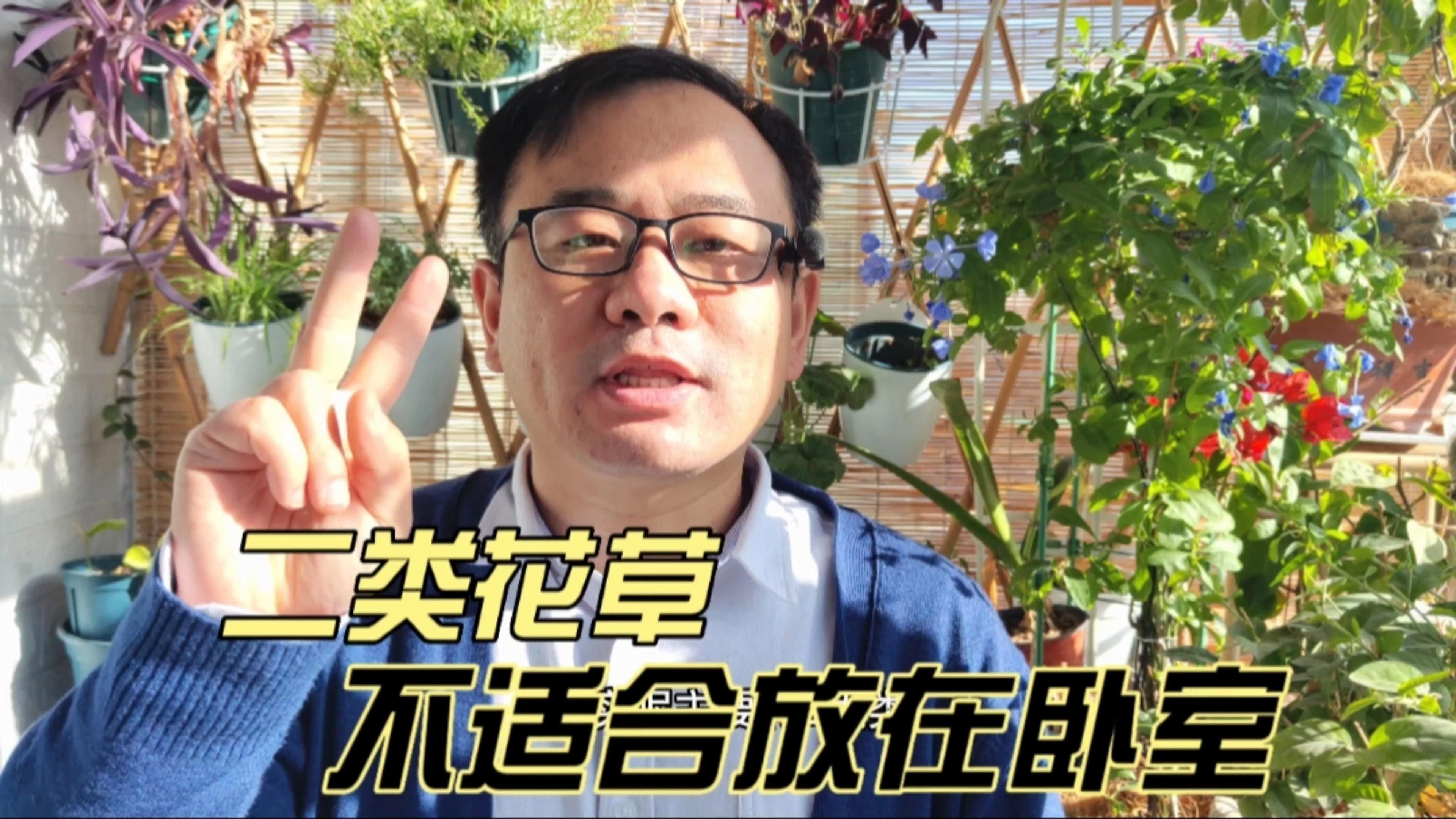 哪些植物不適合放在臥室？ 哪些植物不適合放在臥室？ 龍魚百科 第2張