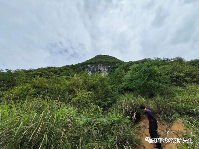 有沒有現(xiàn)代生龍風(fēng)水案例？ 有沒有現(xiàn)代生龍風(fēng)水案例？ 龍魚百科 第3張