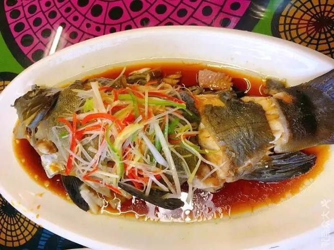 天山雪龍魚是淡水魚嗎圖片欣賞