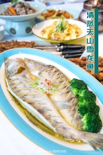 天山雪龍魚是淡水魚嗎圖片欣賞