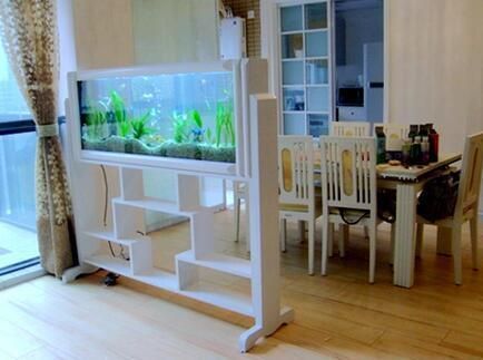 紅龍魚與金龍魚哪個好（紅龍魚與金龍魚哪個好養(yǎng)?）