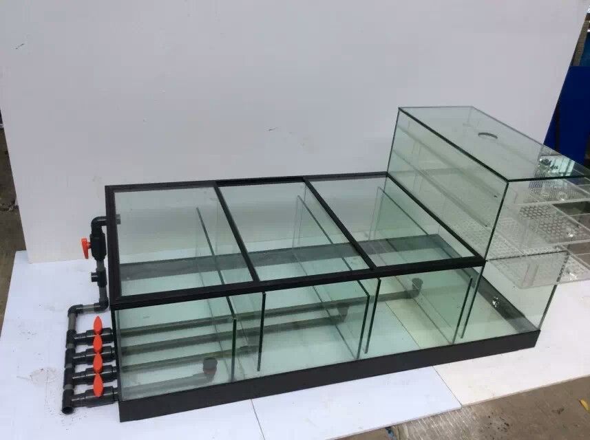 龍魚養殖環境，養龍魚的過濾系統怎么設計好看一點：養龍魚的過濾系統設計不僅是為了保持水質清潔，還需要考慮美觀性