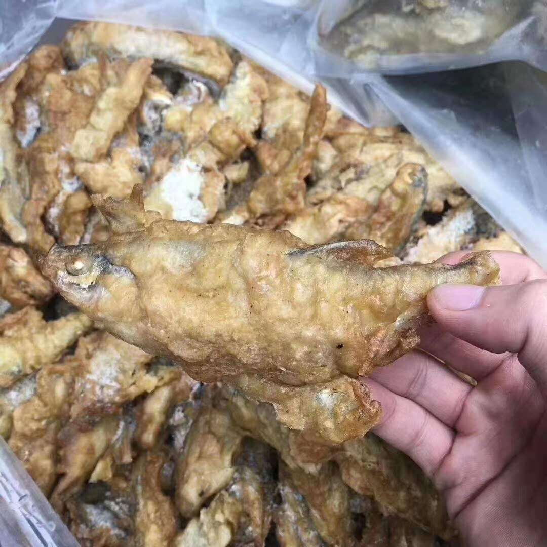 小龍魚批發(fā)的信息包括小龍魚的種類、供應(yīng)商信息等：小龍魚批發(fā)價格 小龍魚批發(fā)的信息包括小龍魚的種類、供應(yīng)商信息等：小龍魚批發(fā)價格 龍魚百科 第1張