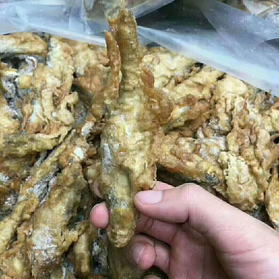 小龍魚批發(fā)的信息包括小龍魚的種類、供應(yīng)商信息等：小龍魚批發(fā)價格 小龍魚批發(fā)的信息包括小龍魚的種類、供應(yīng)商信息等：小龍魚批發(fā)價格 龍魚百科 第3張