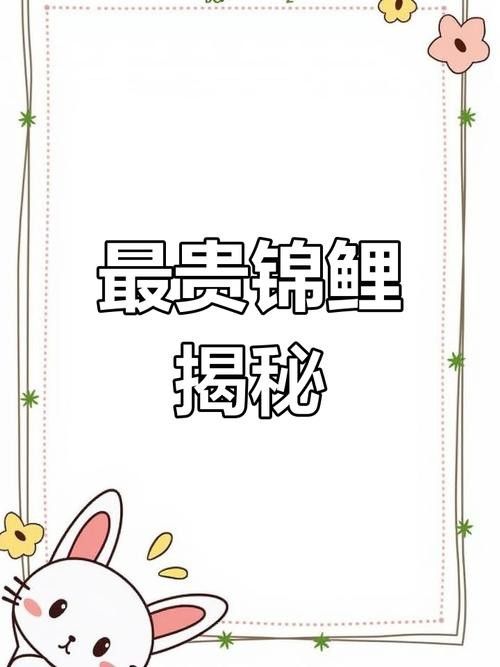 比金龍魚還貴的觀賞魚