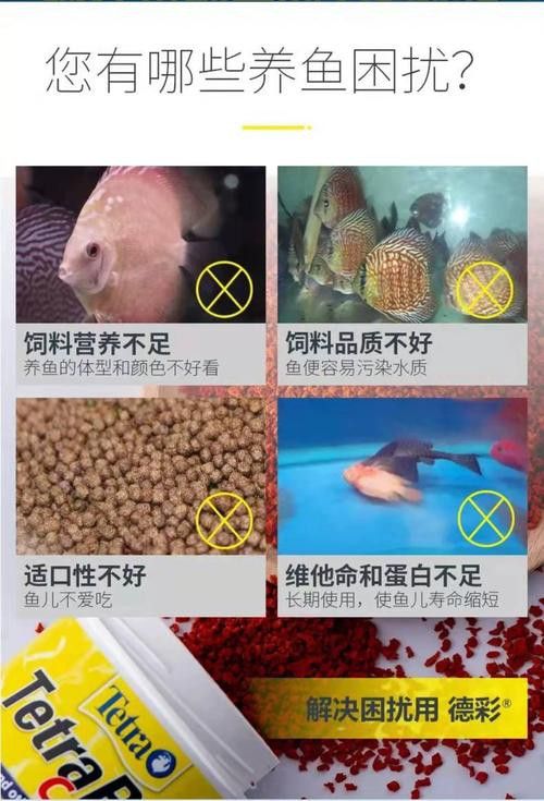 如何判斷金龍魚飼料是否過期？