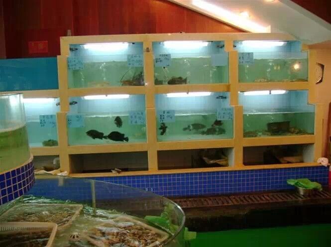 飯店魚缸設計圖（飯店魚缸設計圖解） 飯店魚缸設計圖（飯店魚缸設計圖解） 龍魚百科 第2張
