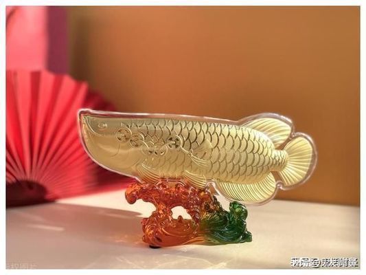 龍魚不愛游動不吃食怎么回事（龍魚不愛游動不吃食可能由多種因素引起龍魚健康的關鍵）