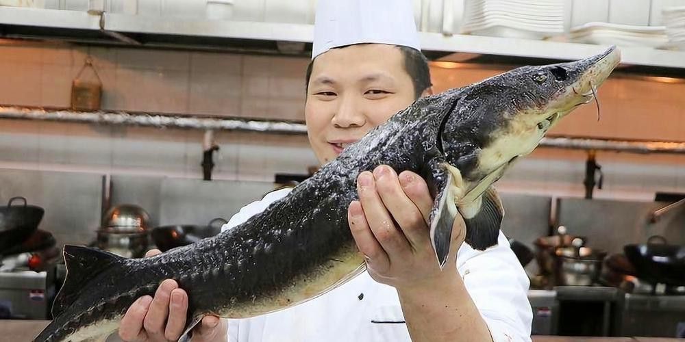 中華鱘龍魚的圖片我就不信了