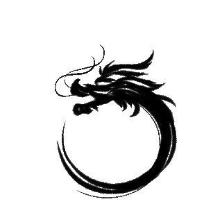 有沒有動態(tài)GIF格式的霸氣龍？ 有沒有動態(tài)GIF格式的霸氣龍？ 龍魚百科 第42張