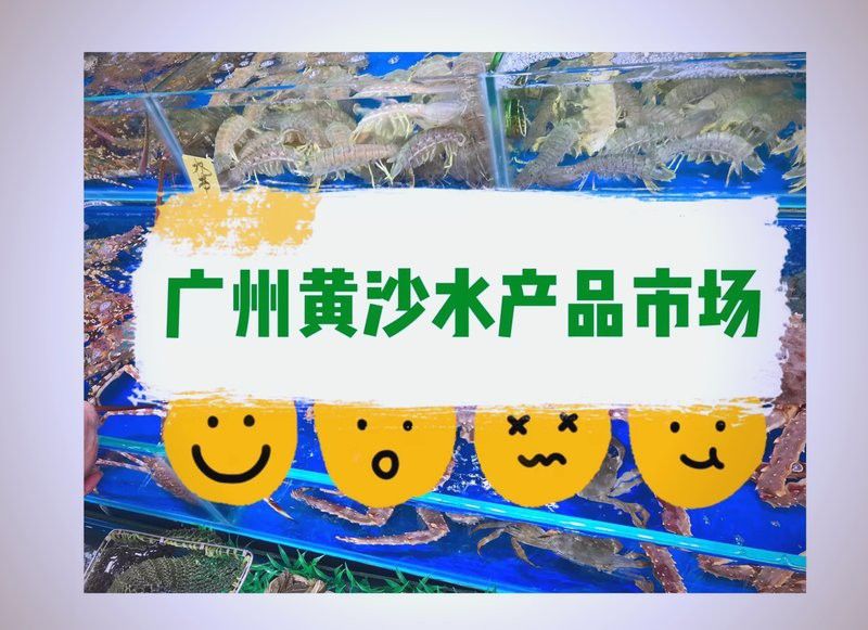 廣州哪里有金龍魚批發(fā)市場賣海鮮食品