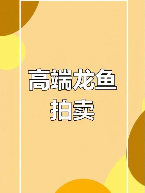 南寧龍魚價格表最新圖片 南寧龍魚價格表最新圖片 龍魚百科 第2張
