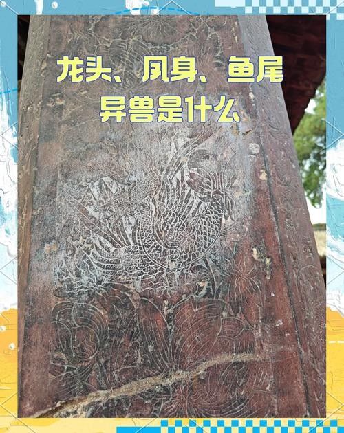 龍頭魚尾圖案有哪些變種形式？ 龍頭魚尾圖案有哪些變種形式？ 龍魚百科 第3張