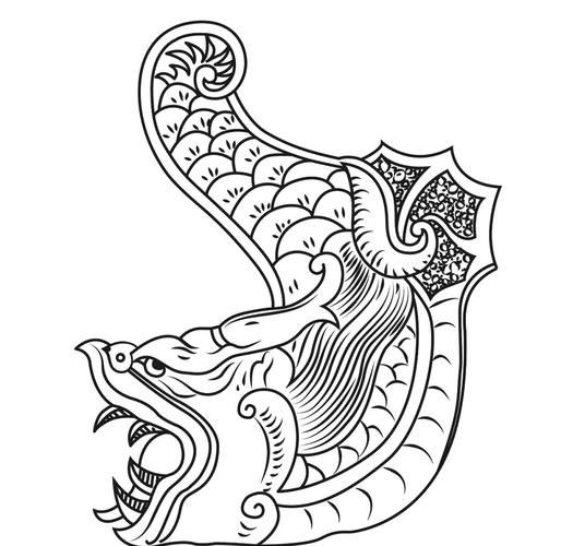 龍頭魚尾圖案有哪些變種形式？ 龍頭魚尾圖案有哪些變種形式？ 龍魚百科 第14張