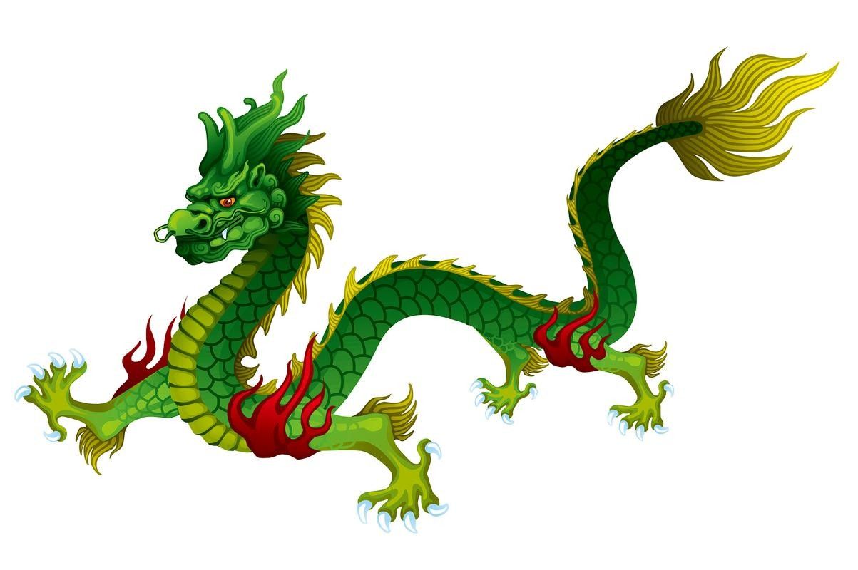 龍頭魚尾圖案有哪些變種形式？ 龍頭魚尾圖案有哪些變種形式？ 龍魚百科 第15張