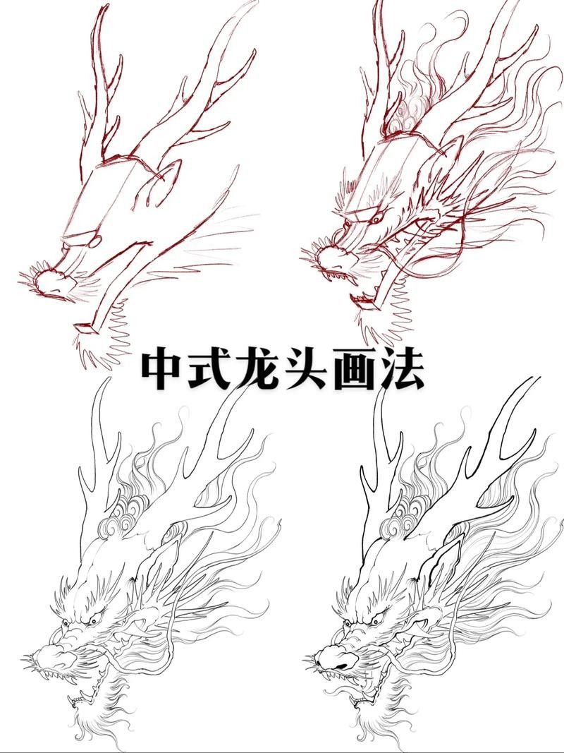 龍頭魚尾圖案有哪些變種形式？ 龍頭魚尾圖案有哪些變種形式？ 龍魚百科 第11張