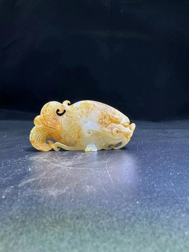 龍頭魚尾圖案有哪些變種形式？ 龍頭魚尾圖案有哪些變種形式？ 龍魚百科 第41張